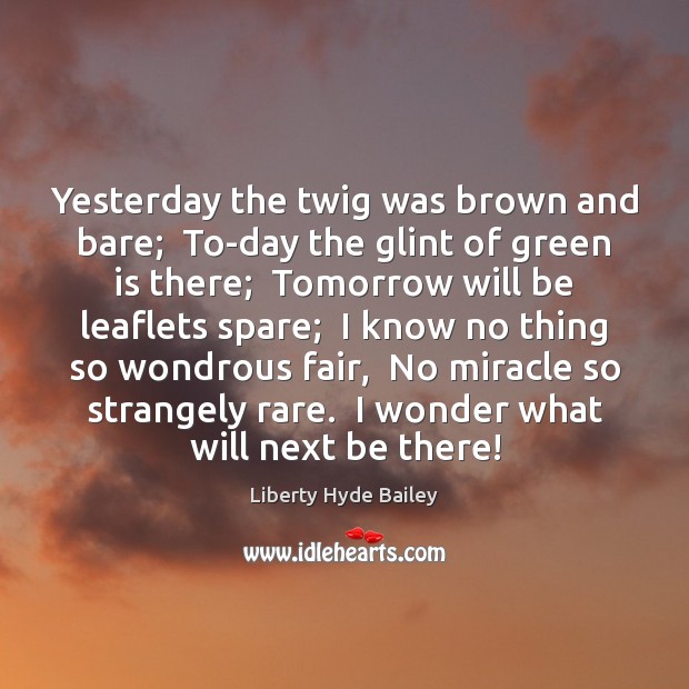 Yesterday the twig was brown and bare;  To-day the glint of green Liberty Hyde Bailey Picture Quote