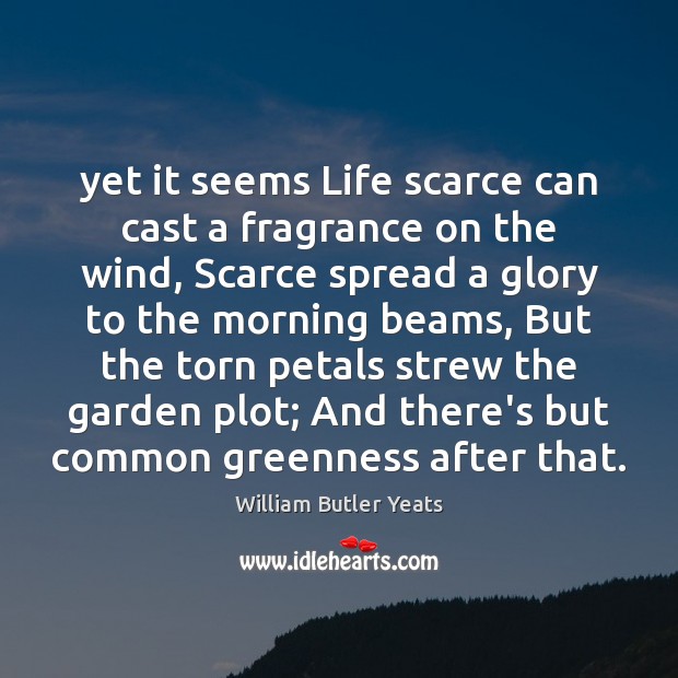 Yet it seems Life scarce can cast a fragrance on the wind, William Butler Yeats Picture Quote