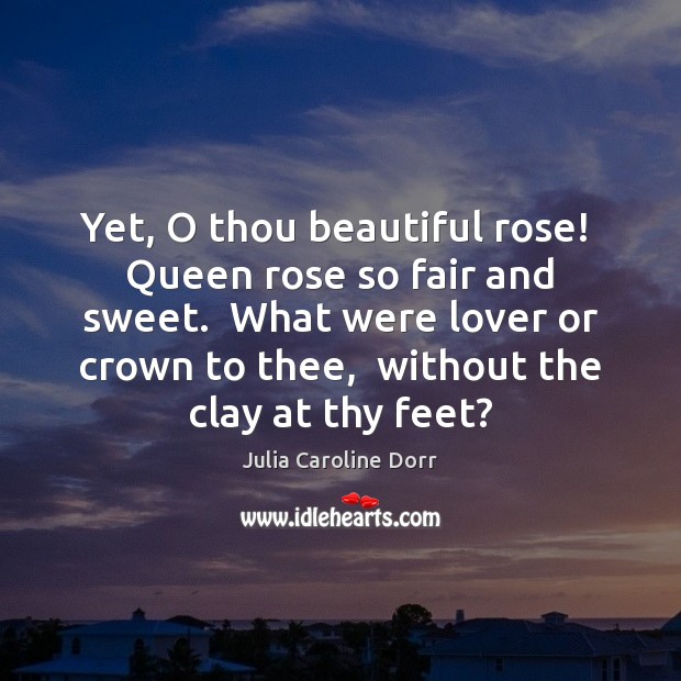 Yet, O thou beautiful rose!  Queen rose so fair and sweet.  What Julia Caroline Dorr Picture Quote