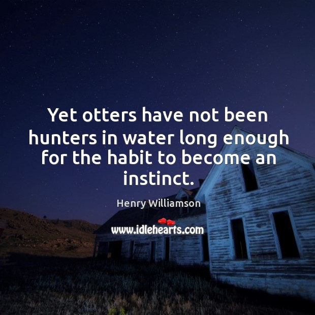 Yet otters have not been hunters in water long enough for the habit to become an instinct. Henry Williamson Picture Quote