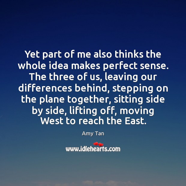 Yet part of me also thinks the whole idea makes perfect sense. Amy Tan Picture Quote