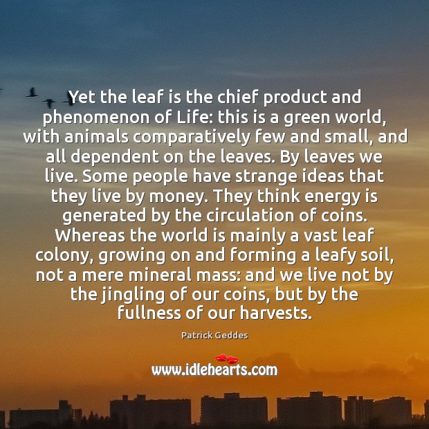 Yet the leaf is the chief product and phenomenon of Life: this Patrick Geddes Picture Quote