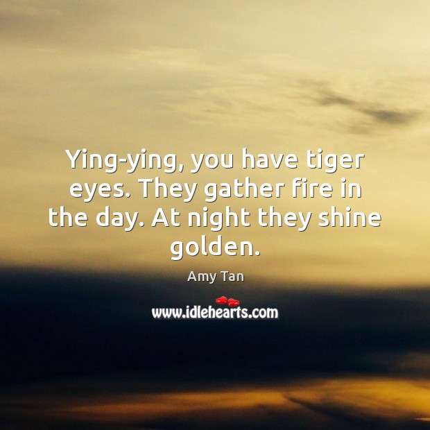 Ying-ying, you have tiger eyes. They gather fire in the day. At night they shine golden. Amy Tan Picture Quote