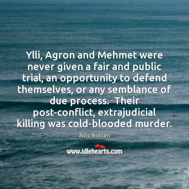 Ylli, Agron and Mehmet were never given a fair and public trial, Avis Bohlen Picture Quote