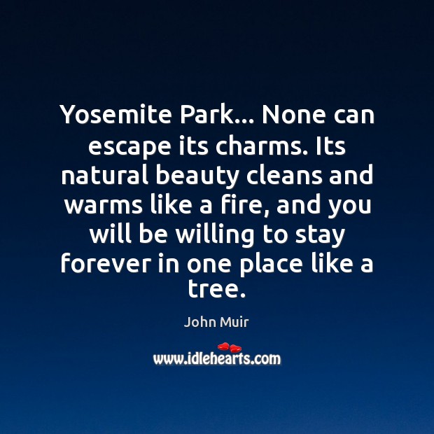 Yosemite Park… None can escape its charms. Its natural beauty cleans and John Muir Picture Quote