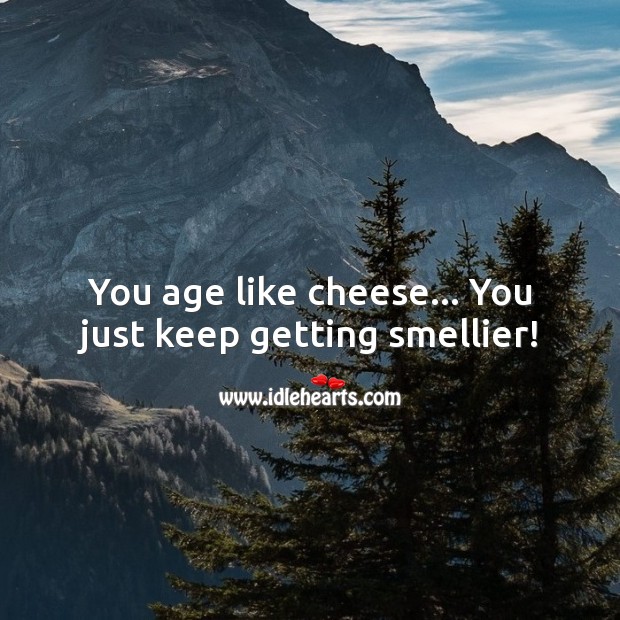You age like cheese… You just keep getting smellier! Funny Birthday Messages Image