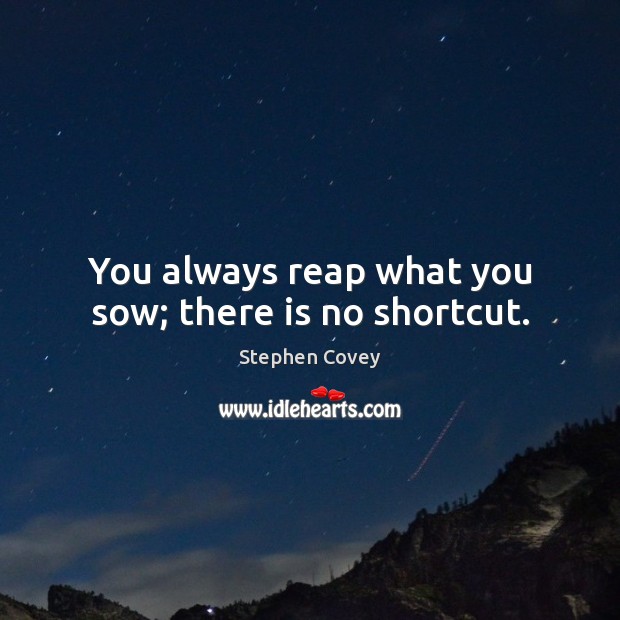 You always reap what you sow; there is no shortcut. Stephen Covey Picture Quote