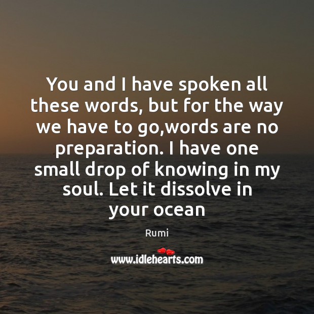 You and I have spoken all these words, but for the way Rumi Picture Quote