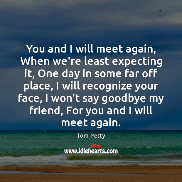 You and I will meet again, When we’re least expecting it, One Goodbye Quotes Image