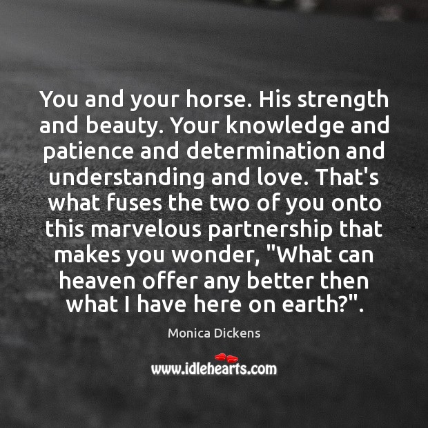 You and your horse. His strength and beauty. Your knowledge and patience Determination Quotes Image