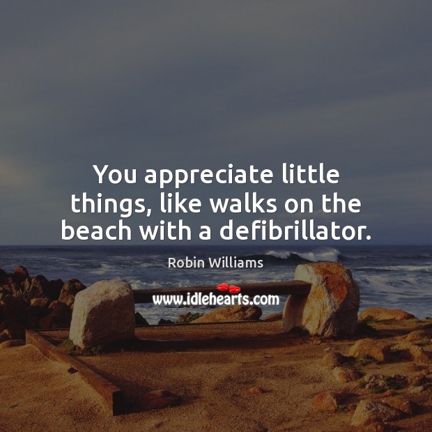You appreciate little things, like walks on the beach with a defibrillator. Robin Williams Picture Quote
