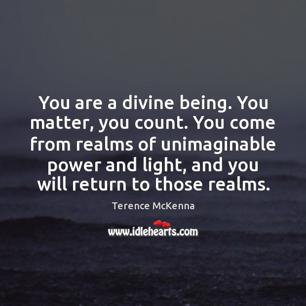 You are a divine being. You matter, you count. You come from Terence McKenna Picture Quote