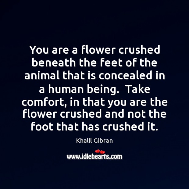 You are a flower crushed beneath the feet of the animal that Image
