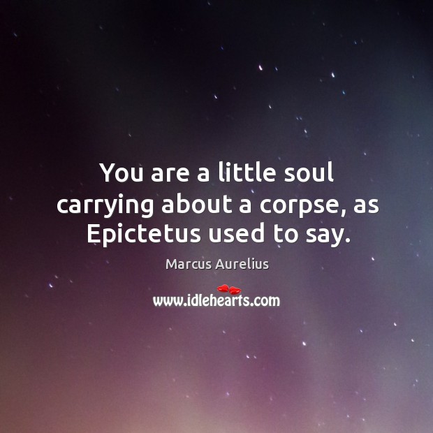 You are a little soul carrying about a corpse, as Epictetus used to say. Marcus Aurelius Picture Quote