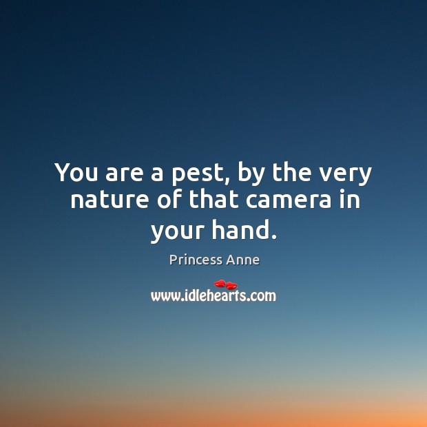 You are a pest, by the very nature of that camera in your hand. Princess Anne Picture Quote