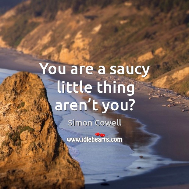 You are a saucy little thing aren’t you? Simon Cowell Picture Quote
