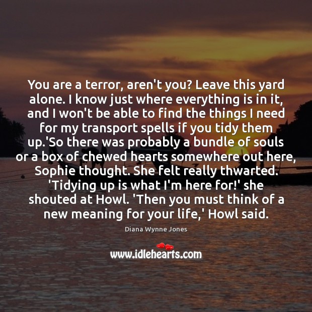 You are a terror, aren’t you? Leave this yard alone. I know Diana Wynne Jones Picture Quote