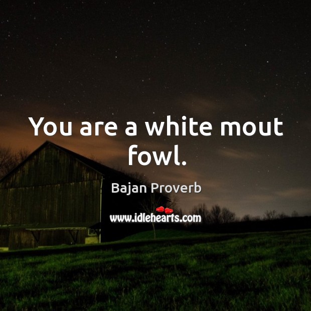 You are a white mout fowl. Bajan Proverbs Image