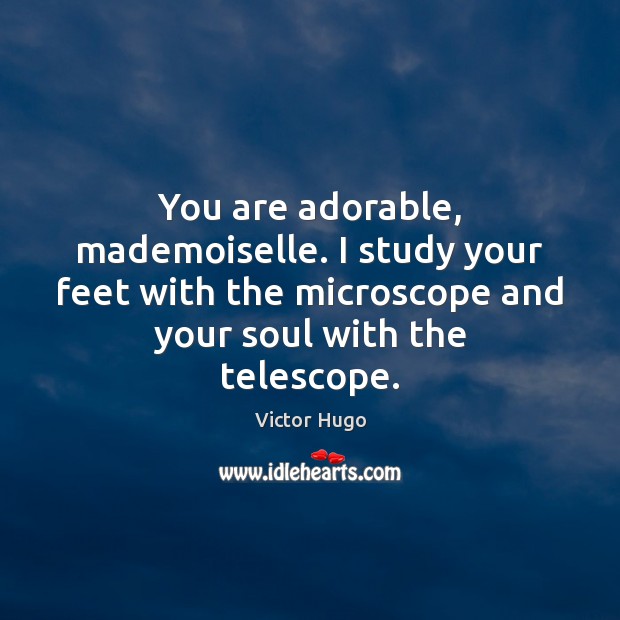 You are adorable, mademoiselle. I study your feet with the microscope and Victor Hugo Picture Quote