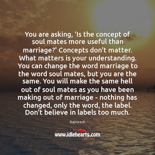 You are asking, ‘Is the concept of soul mates more useful than 
