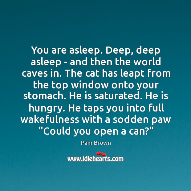 You are asleep. Deep, deep asleep – and then the world caves Pam Brown Picture Quote