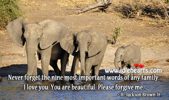 The most important words of any family You’re Beautiful Quotes Image