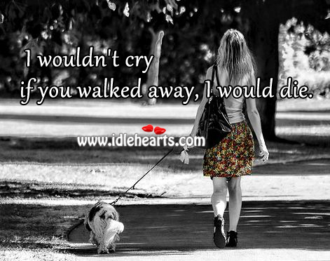 I wouldn’t cry if you walked away, I would die. You’re Beautiful Quotes Image