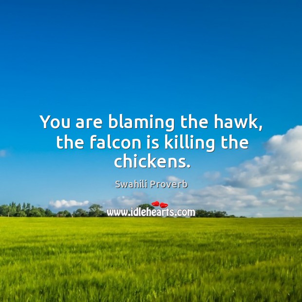 You are blaming the hawk, the falcon is killing the chickens. Swahili Proverbs Image
