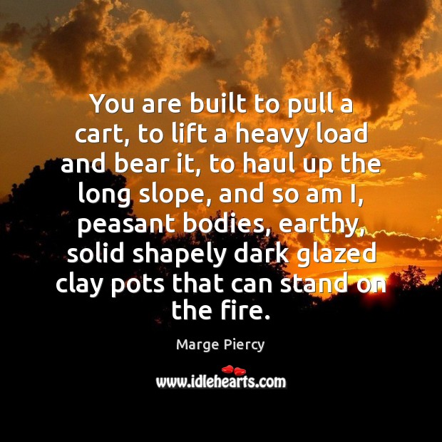 You are built to pull a cart, to lift a heavy load 