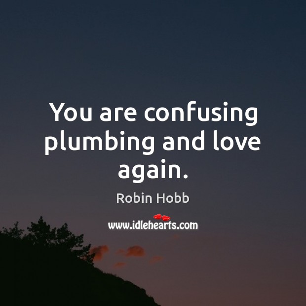 You are confusing plumbing and love again. Robin Hobb Picture Quote