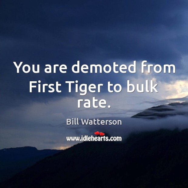 You are demoted from First Tiger to bulk rate. Bill Watterson Picture Quote