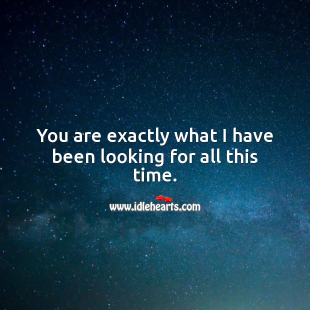 You are exactly what I have been looking for all this time. 