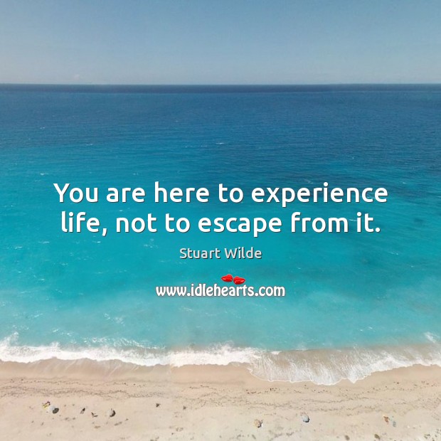You are here to experience life, not to escape from it. Stuart Wilde Picture Quote