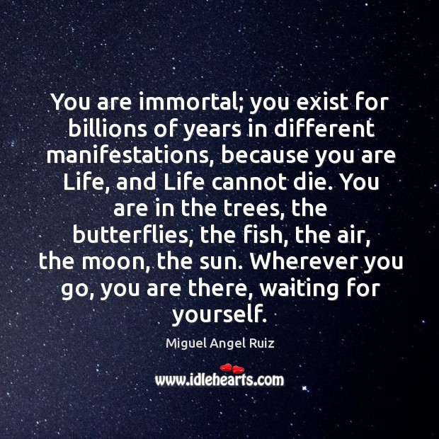 You are immortal; you exist for billions of years in different manifestations, Miguel Angel Ruiz Picture Quote
