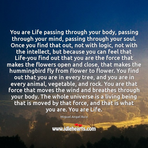 You are Life passing through your body, passing through your mind, passing Miguel Angel Ruiz Picture Quote
