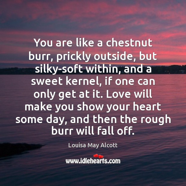 You are like a chestnut burr, prickly outside, but silky-soft within, and Louisa May Alcott Picture Quote