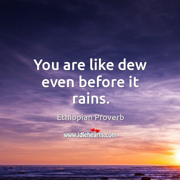 You are like dew even before it rains. Ethiopian Proverbs Image
