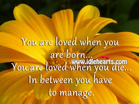 You are loved when you are born and when you die Image