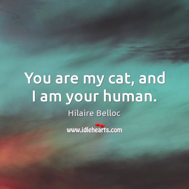You are my cat, and I am your human. Hilaire Belloc Picture Quote