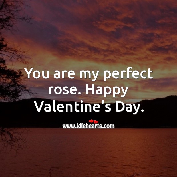 You are my perfect rose. Happy Valentine’s Day. Valentine’s Day Quotes Image