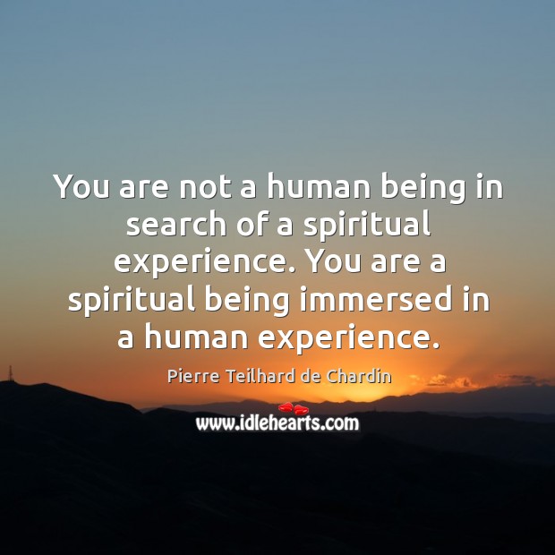 You are not a human being in search of a spiritual experience. You are a spiritual being immersed in a human experience. Pierre Teilhard de Chardin Picture Quote