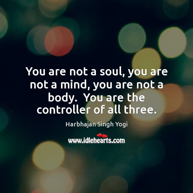 You are not a soul, you are not a mind, you are Image