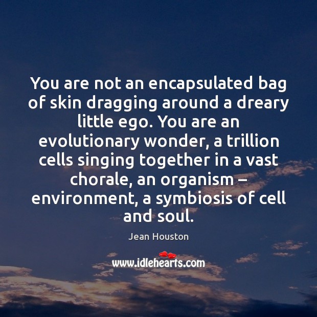 You are not an encapsulated bag of skin dragging around a dreary Jean Houston Picture Quote