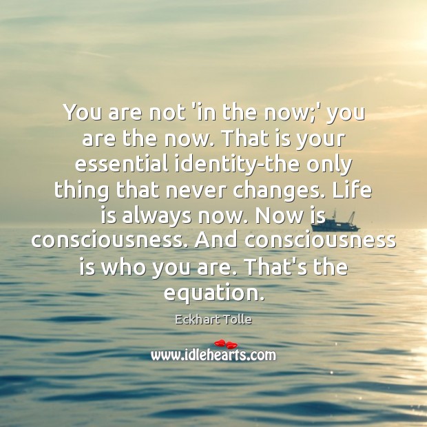 You are not ‘in the now;’ you are the now. That Eckhart Tolle Picture Quote