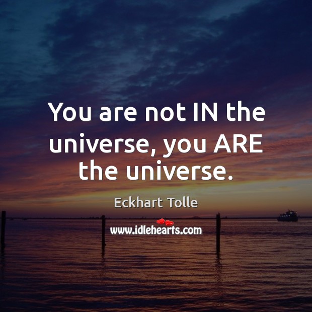You are not IN the universe, you ARE the universe. Image