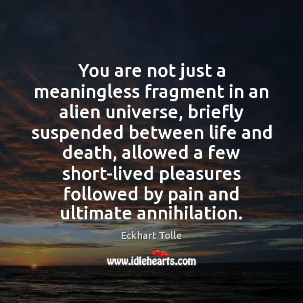 You are not just a meaningless fragment in an alien universe, briefly Eckhart Tolle Picture Quote