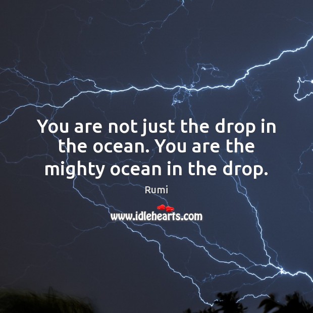 You are not just the drop in the ocean. You are the mighty ocean in the drop. Rumi Picture Quote