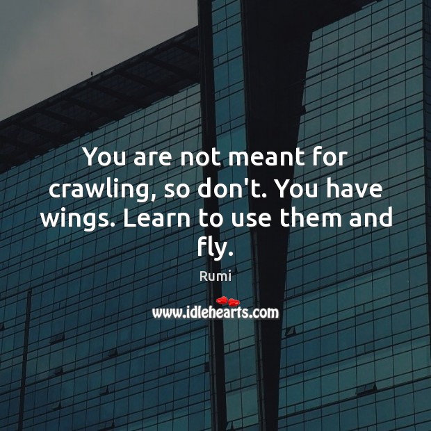 You are not meant for crawling, so don’t. You have wings. Learn to use them and fly. Image
