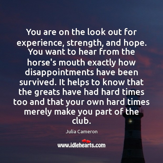 You are on the look out for experience, strength, and hope. You Julia Cameron Picture Quote