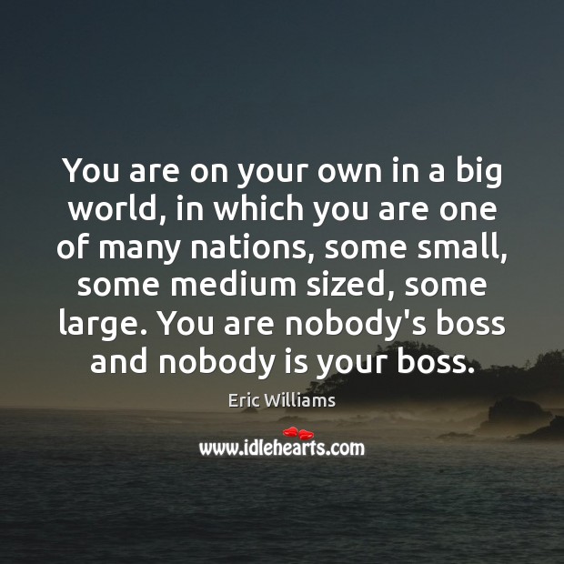 You are on your own in a big world, in which you Eric Williams Picture Quote